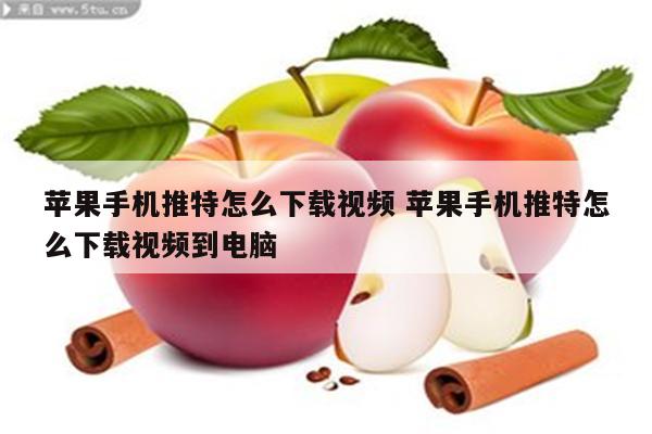 苹果手机推特怎么下载视频 苹果手机推特怎么下载视频到电脑