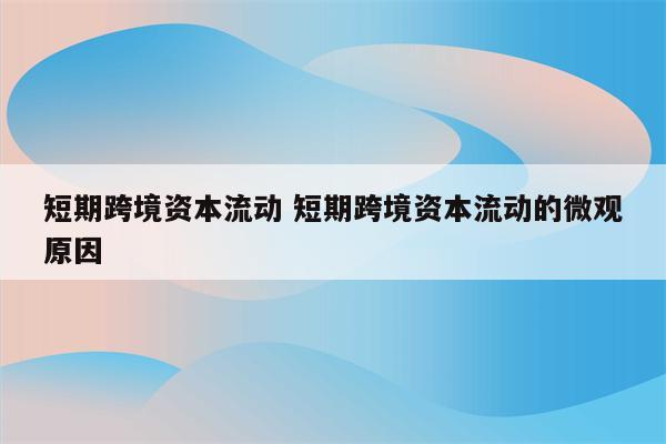 短期跨境资本流动 短期跨境资本流动的微观原因