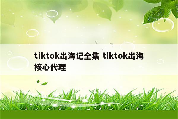 tiktok出海记全集 tiktok出海核心代理