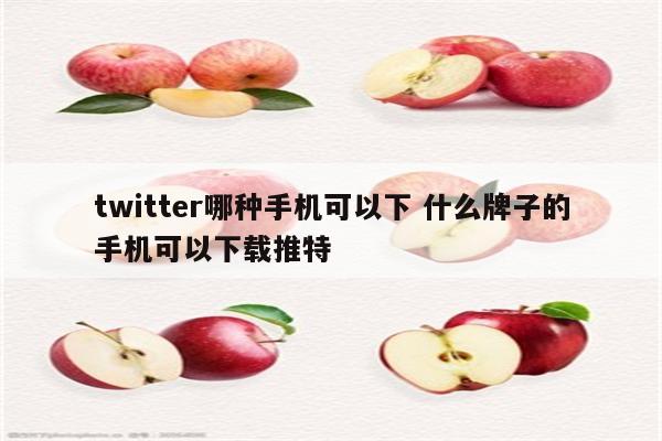 twitter哪种手机可以下 什么牌子的手机可以下载推特