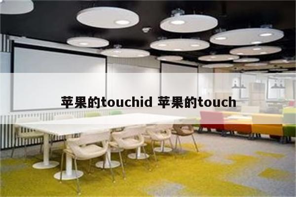 苹果的touchid 苹果的touch