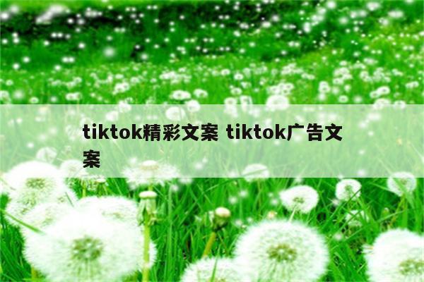 tiktok精彩文案 tiktok广告文案