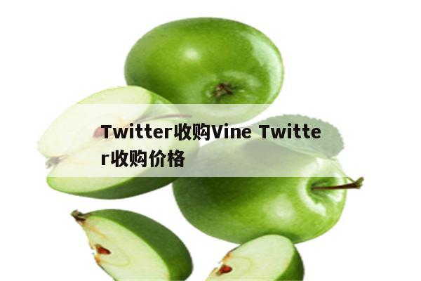 Twitter收购Vine Twitter收购价格