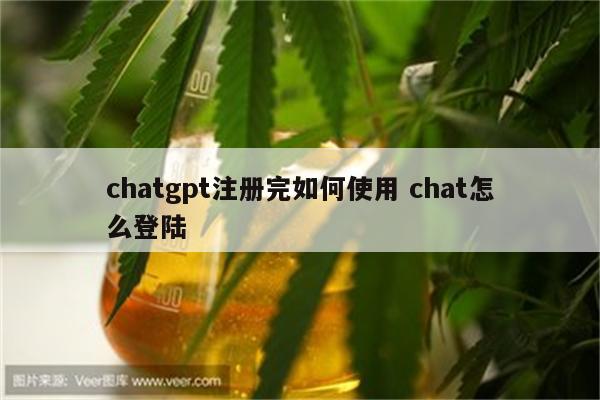 chatgpt注册完如何使用 chat怎么登陆