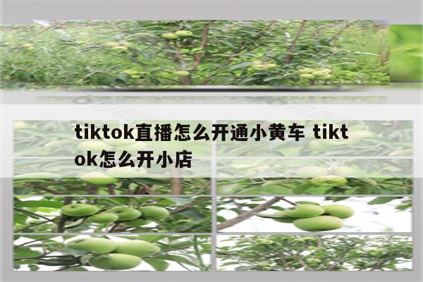 tiktok直播怎么开通小黄车 tiktok怎么开小店