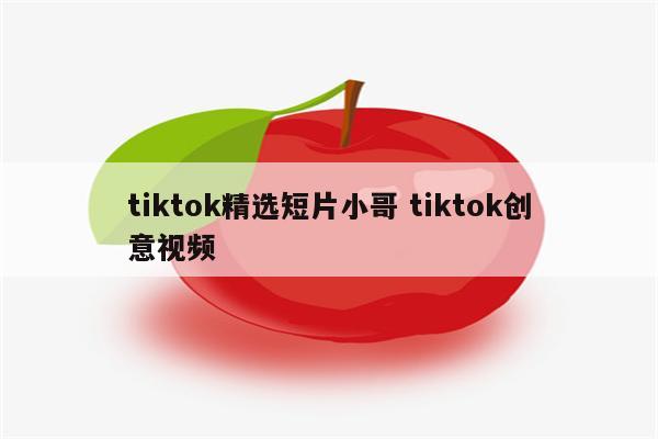 tiktok精选短片小哥 tiktok创意视频