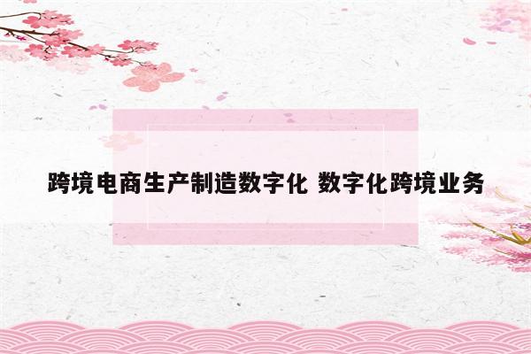 跨境电商生产制造数字化 数字化跨境业务