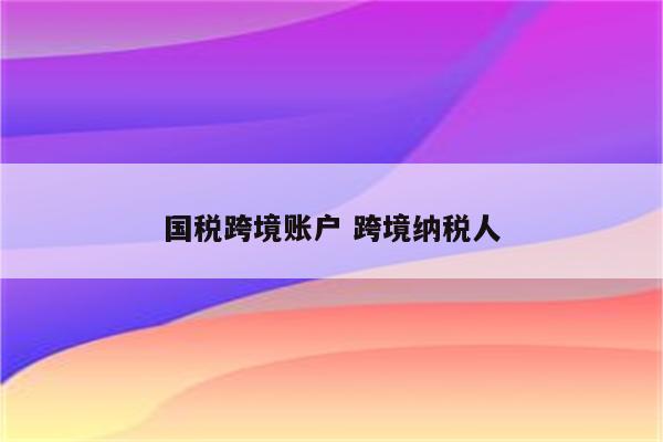 国税跨境账户 跨境纳税人