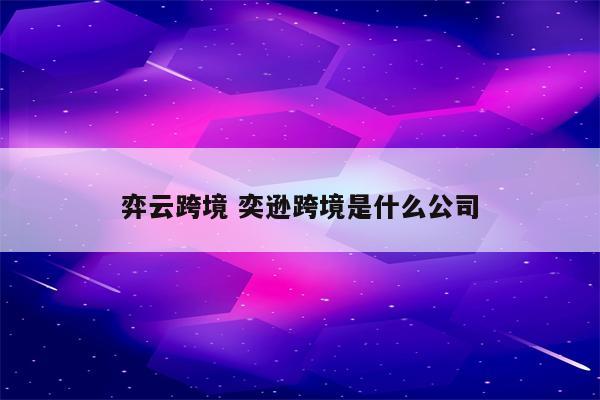 弈云跨境 奕逊跨境是什么公司