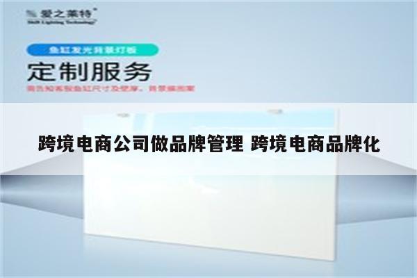 跨境电商公司做品牌管理 跨境电商品牌化