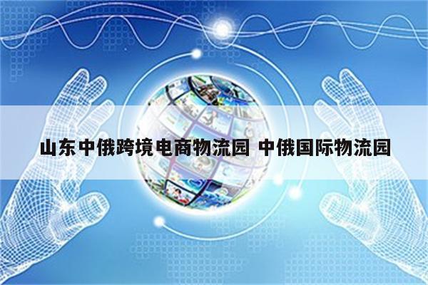 山东中俄跨境电商物流园 中俄国际物流园