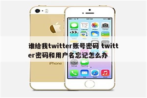 谁给我twitter账号密码 twitter密码和用户名忘记怎么办