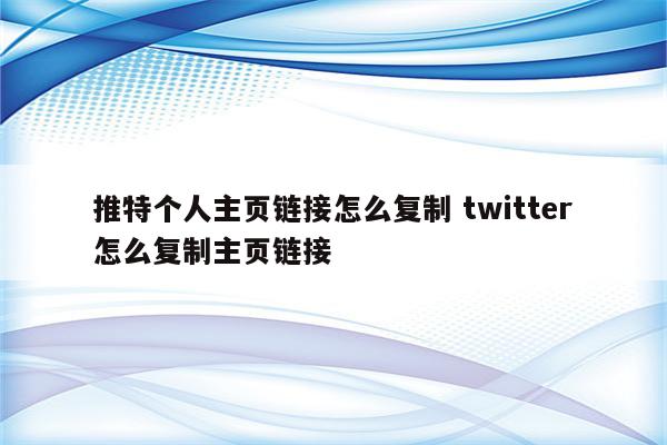 推特个人主页链接怎么复制 twitter怎么复制主页链接