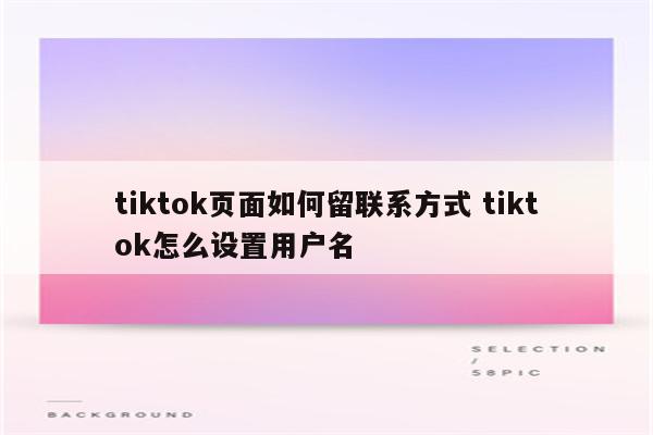 tiktok页面如何留联系方式 tiktok怎么设置用户名