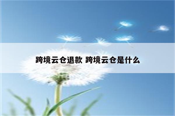 跨境云仓退款 跨境云仓是什么