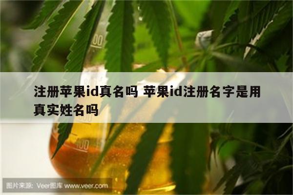 注册苹果id真名吗 苹果id注册名字是用真实姓名吗