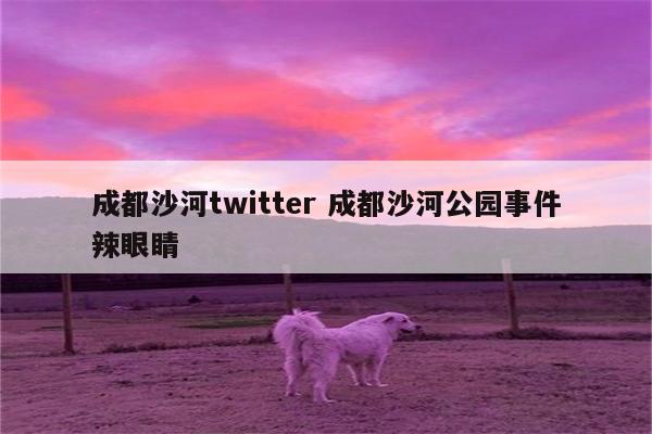 成都沙河twitter 成都沙河公园事件辣眼睛