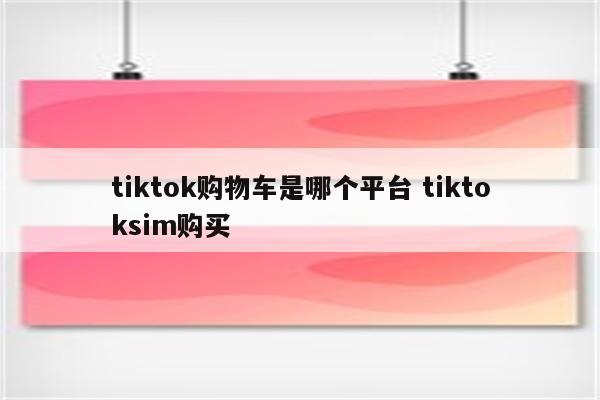 tiktok购物车是哪个平台 tiktoksim购买