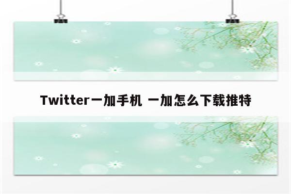 Twitter一加手机 一加怎么下载推特