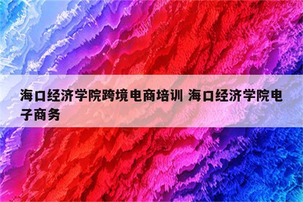 海口经济学院跨境电商培训 海口经济学院电子商务