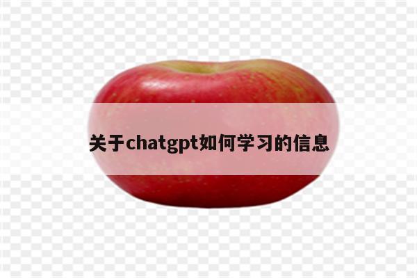 关于chatgpt如何学习的信息