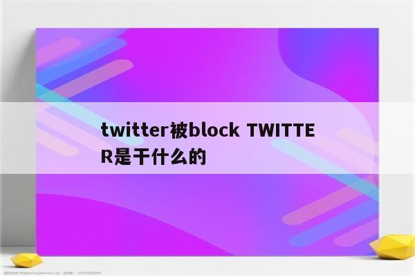 twitter被block TWITTER是干什么的