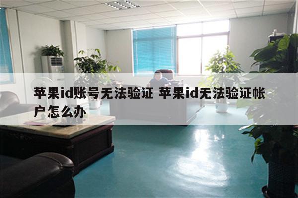 苹果id账号无法验证 苹果id无法验证帐户怎么办