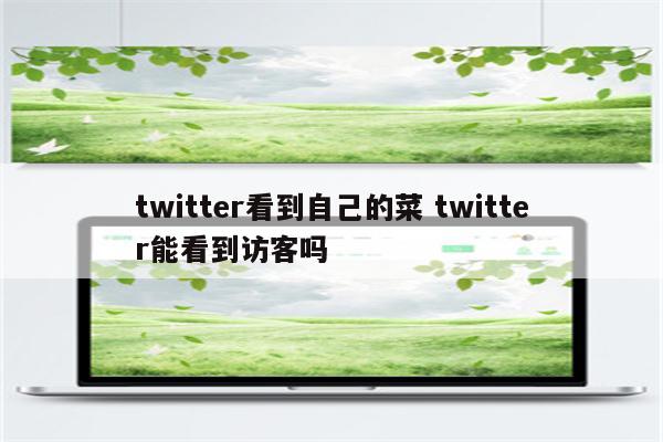 twitter看到自己的菜 twitter能看到访客吗