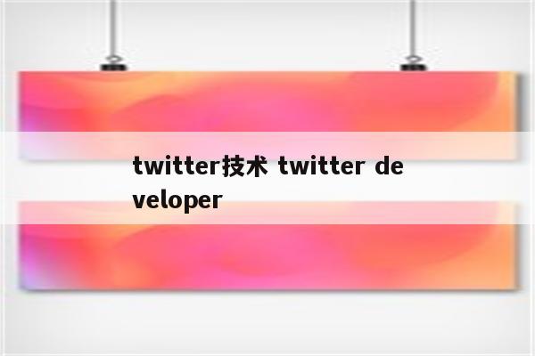 twitter技术 twitter developer