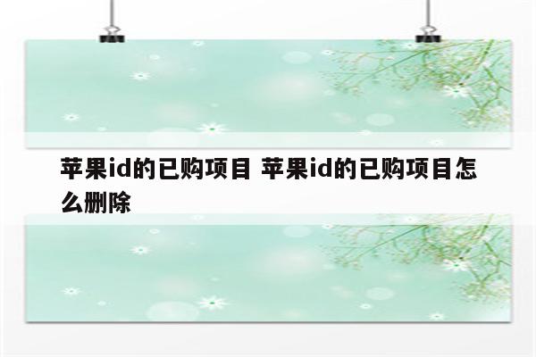 苹果id的已购项目 苹果id的已购项目怎么删除