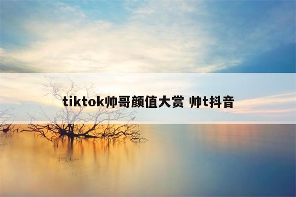 tiktok帅哥颜值大赏 帅t抖音