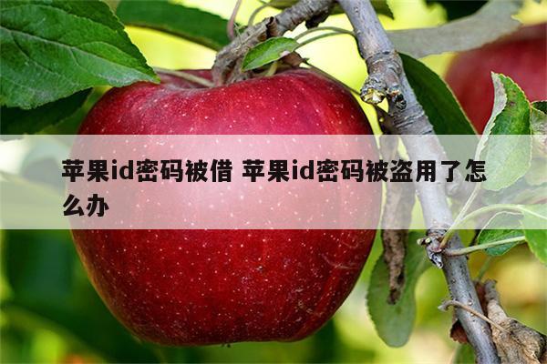 苹果id密码被借 苹果id密码被盗用了怎么办