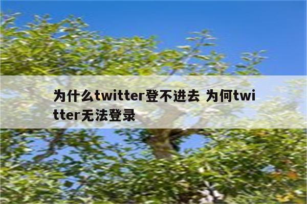 为什么twitter登不进去 为何twitter无法登录