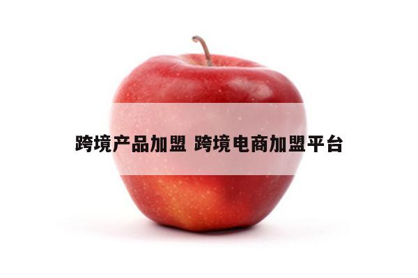 跨境产品加盟 跨境电商加盟平台