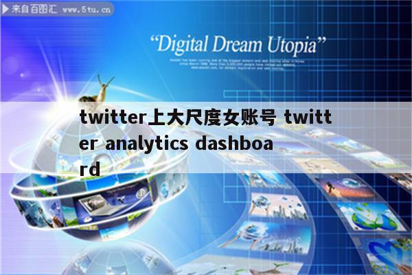 twitter上大尺度女账号 twitter analytics dashboard