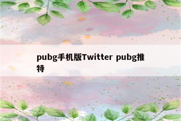 pubg手机版Twitter pubg推特