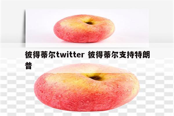 彼得蒂尔twitter 彼得蒂尔支持特朗普