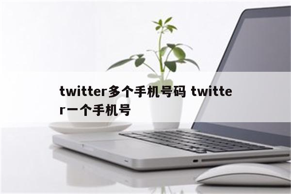 twitter多个手机号码 twitter一个手机号