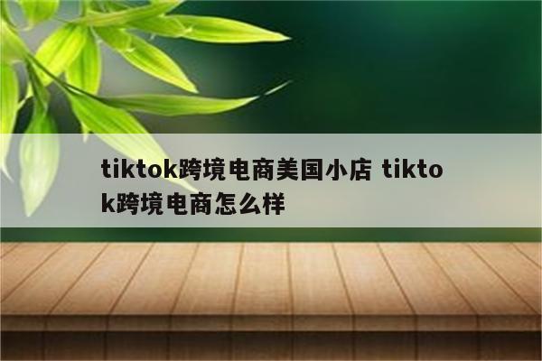 tiktok跨境电商美国小店 tiktok跨境电商怎么样