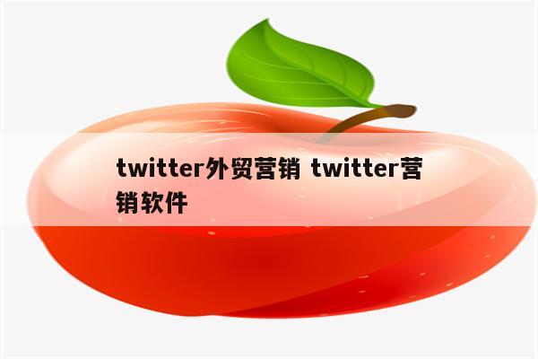 twitter外贸营销 twitter营销软件