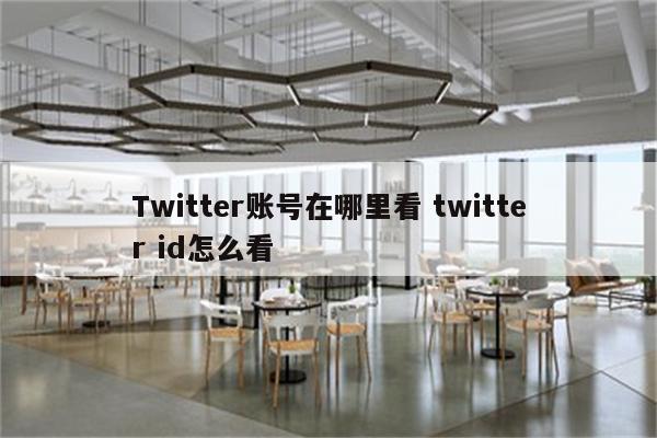 Twitter账号在哪里看 twitter id怎么看