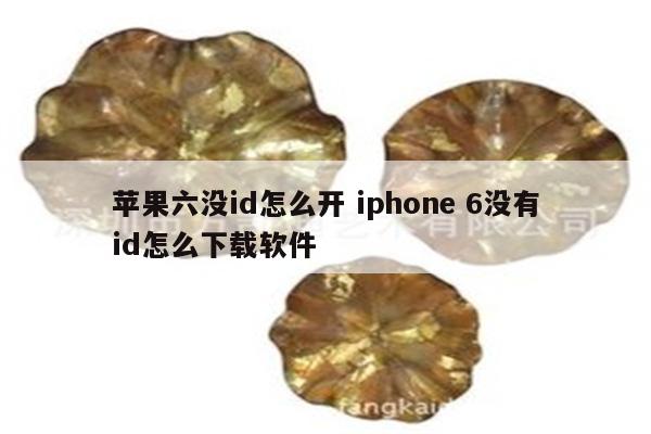 苹果六没id怎么开 iphone 6没有id怎么下载软件