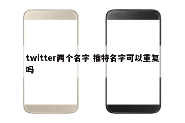 twitter两个名字 推特名字可以重复吗