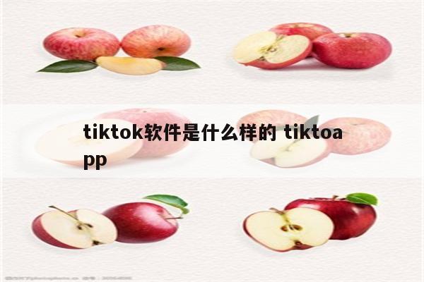 tiktok软件是什么样的 tiktoapp