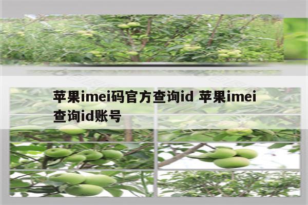 苹果imei码官方查询id 苹果imei查询id账号