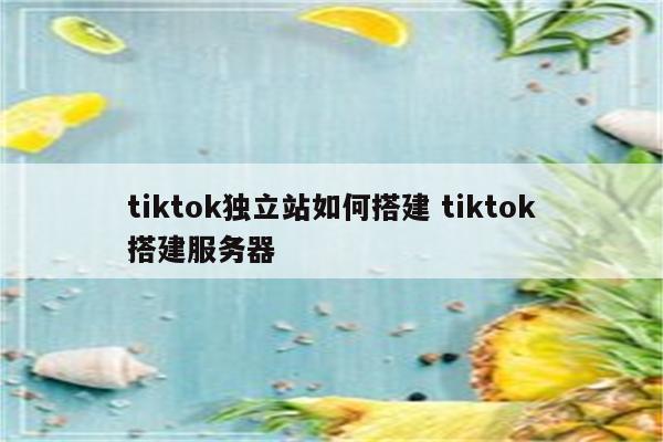 tiktok独立站如何搭建 tiktok搭建服务器