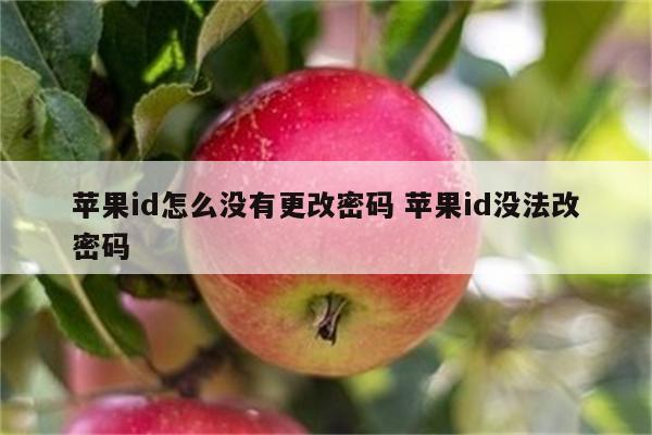 苹果id怎么没有更改密码 苹果id没法改密码