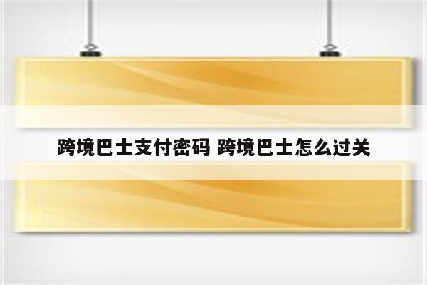 跨境巴士支付密码 跨境巴士怎么过关