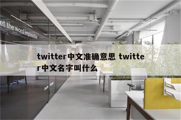 twitter中文准确意思 twitter中文名字叫什么