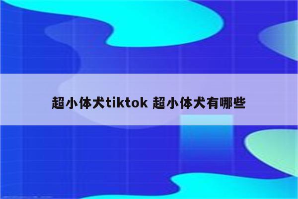 超小体犬tiktok 超小体犬有哪些